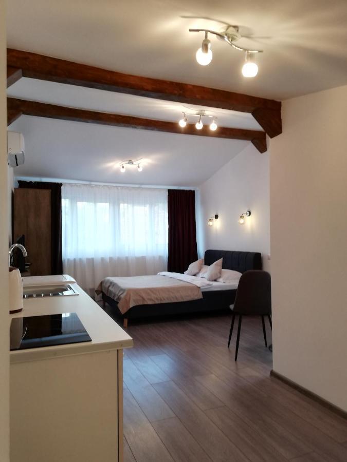 Cara Studio Cu Parcare - Cluj-Napoca Zona Republicii Екстер'єр фото